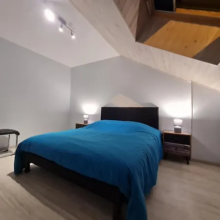 Daire Superbe Lumineux Avec Terrasse, 3 Chambres, Proche Des Commerces Et Stations De Ski - Fr-1-589-431