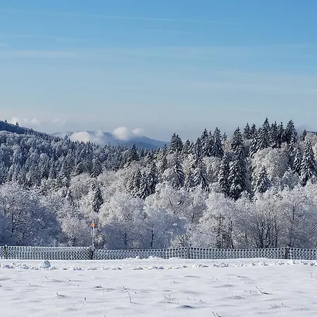 Superbe Lumineux Avec Terrasse, 3 Chambres, Proche Des Commerces Et Stations De Ski - Fr-1-589-431 Lejlighed