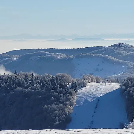 Superbe Lumineux Avec Terrasse, 3 Chambres, Proche Des Commerces Et Stations De Ski - Fr-1-589-431 * Le Thillot