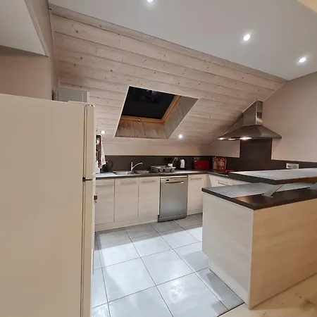 Daire Superbe Lumineux Avec Terrasse, 3 Chambres, Proche Des Commerces Et Stations De Ski - Fr-1-589-431 *